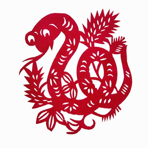 snake2013 year of the snake 2013